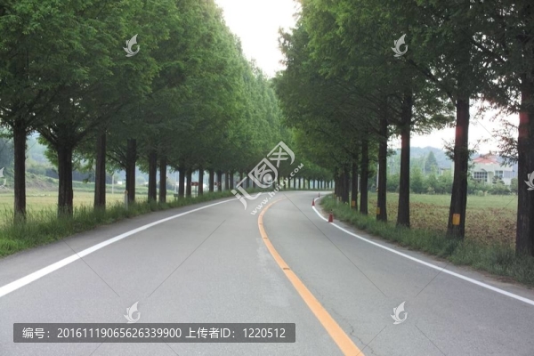 道路景觀