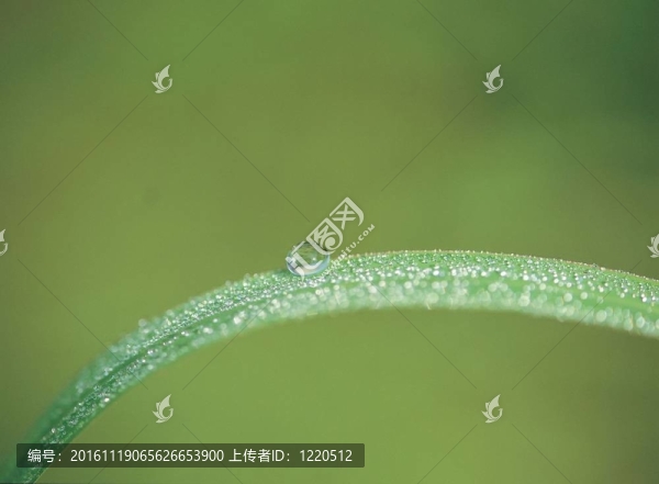 季節(jié)性的觀點(diǎn)