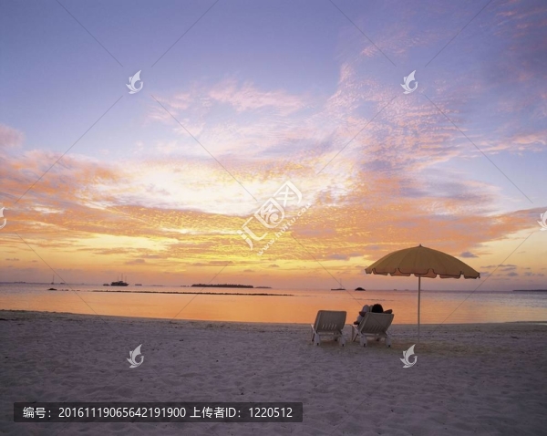 夏天的素描