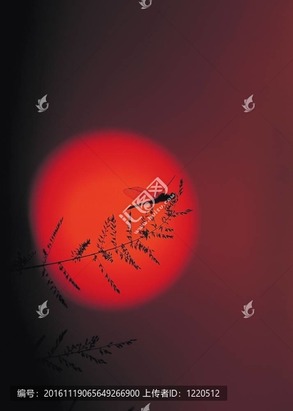 季節(jié)性的觀點(diǎn)