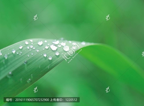 季節(jié)性的觀點(diǎn)