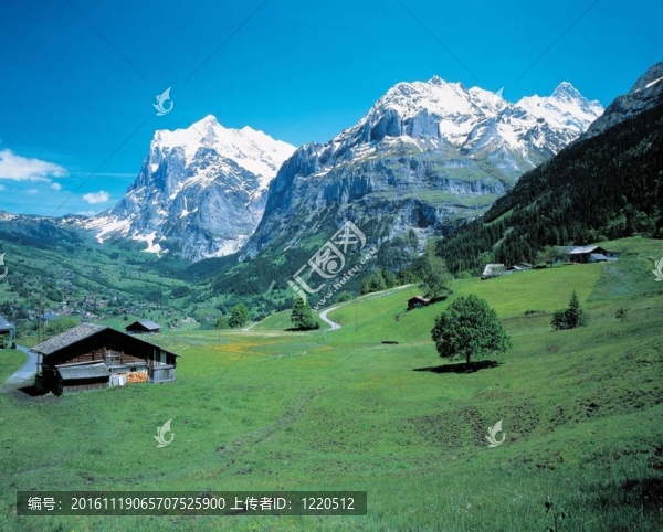 去瑞士旅行