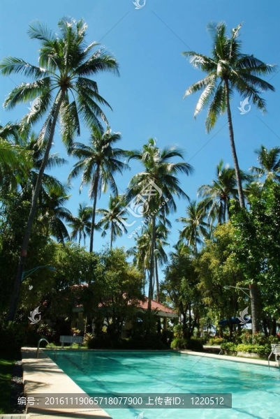 去菲律賓旅行-匯圖網(wǎng) www.fosd68.com 去菲律賓旅行