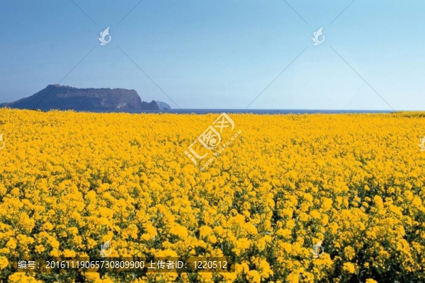 春天的素描-匯圖網(wǎng) www.fosd68.com 春天的素描