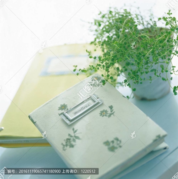 室內(nèi)設(shè)計