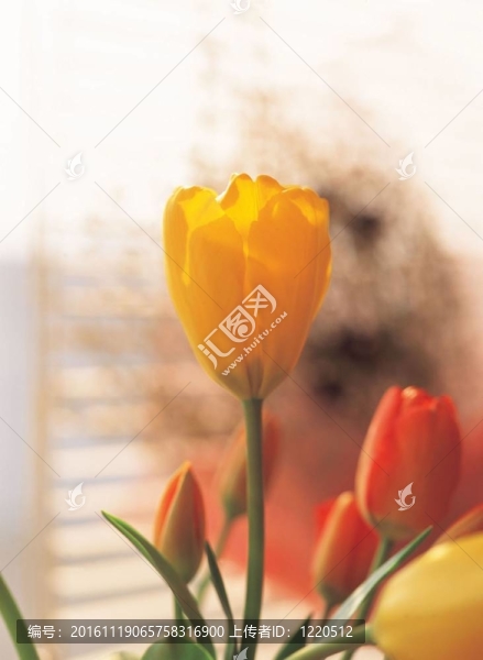 花意象