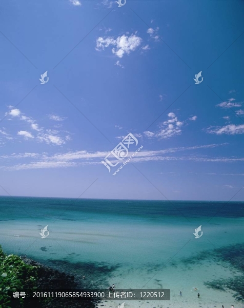 夏天的素描