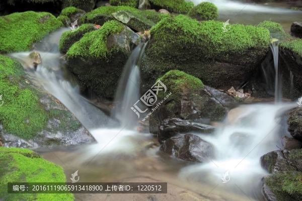 夏天的素描