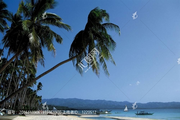 漂亮的海