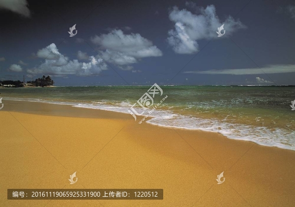 夏天的素描