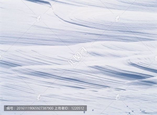 冬天的素描