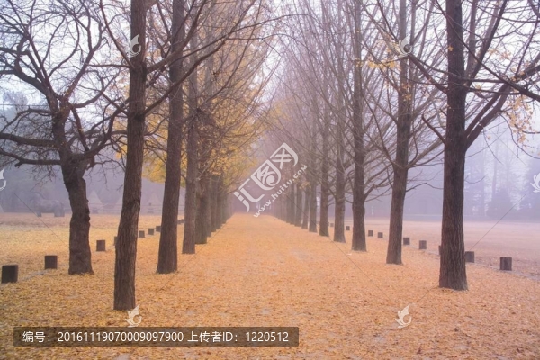 道路景觀