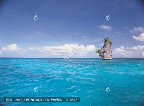 漂亮的海