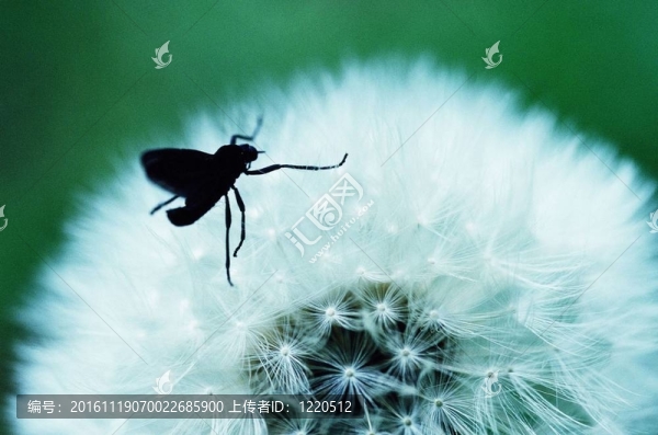 山全景-匯圖網(wǎng) www.fosd68.com 山全景