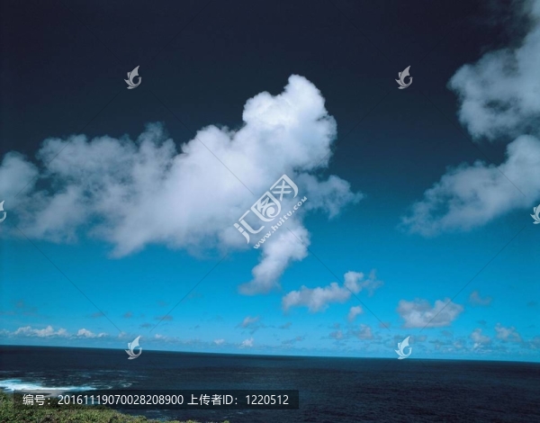 夏天的素描