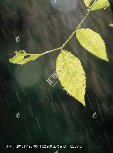 季節(jié)性的觀點(diǎn)