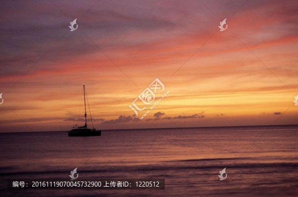漂亮的海