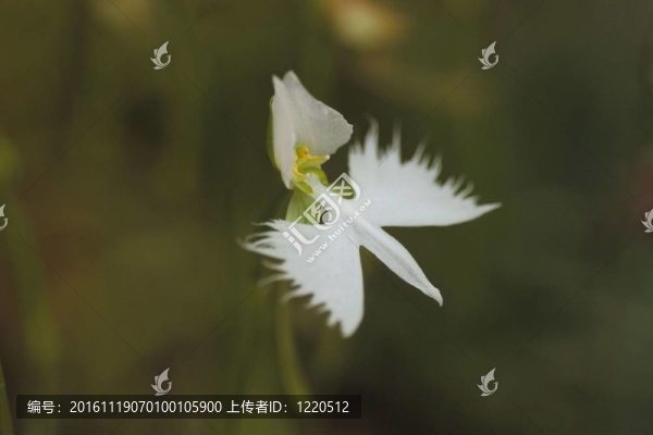季節(jié)性的觀點(diǎn)