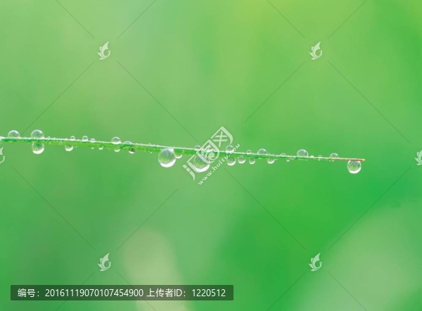 季節(jié)性的觀點(diǎn)