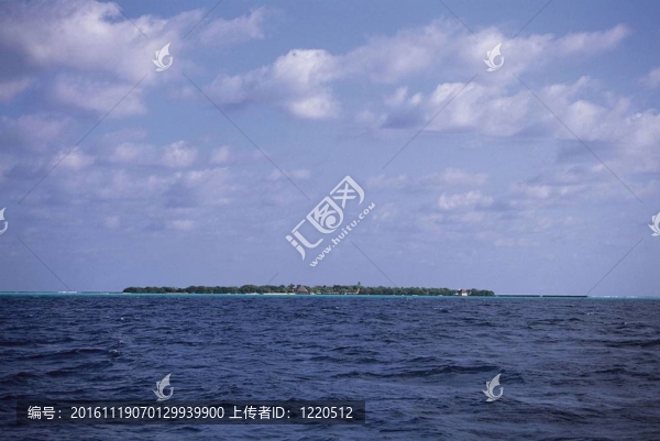 漂亮的海