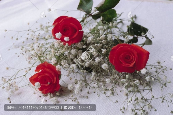 花意象