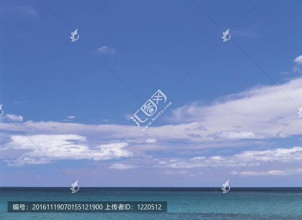 夏天的素描