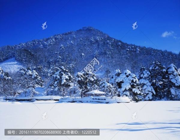 山全景