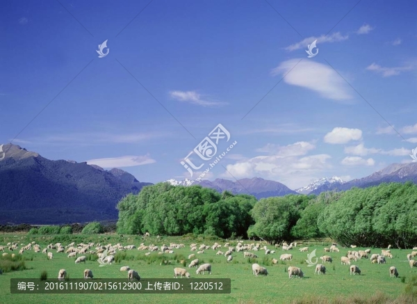 山全景