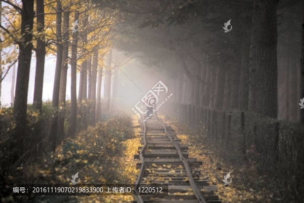 道路景觀