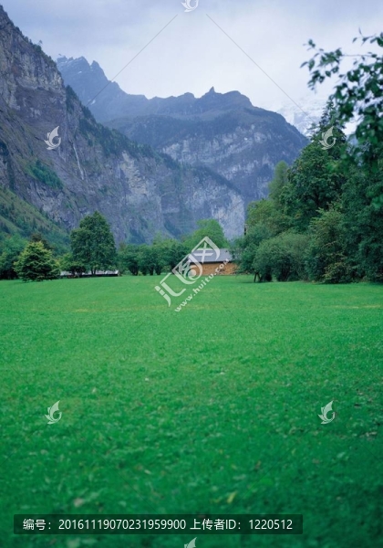 場景