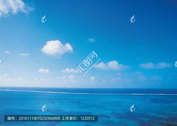 夏天的素描