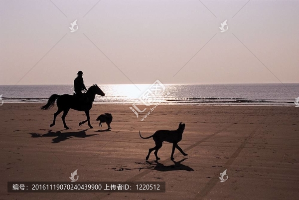 漂亮的海