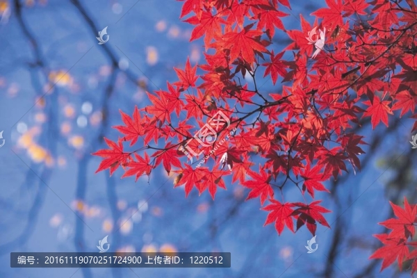 季節(jié)性的觀點(diǎn)