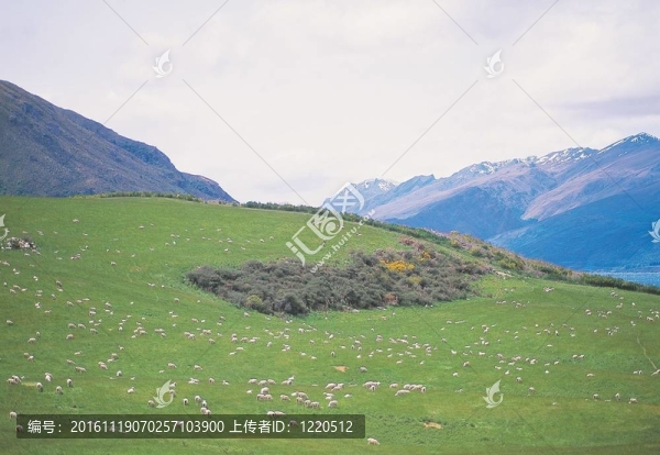 場景