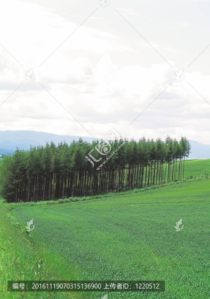 場(chǎng)景-匯圖網(wǎng) www.fosd68.com 場(chǎng)景