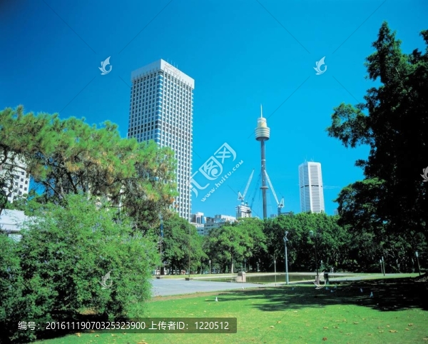 去澳大利亞旅行