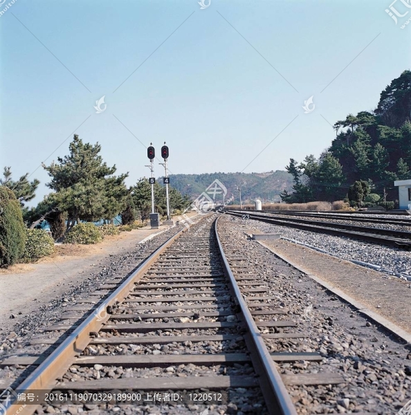 道路景觀