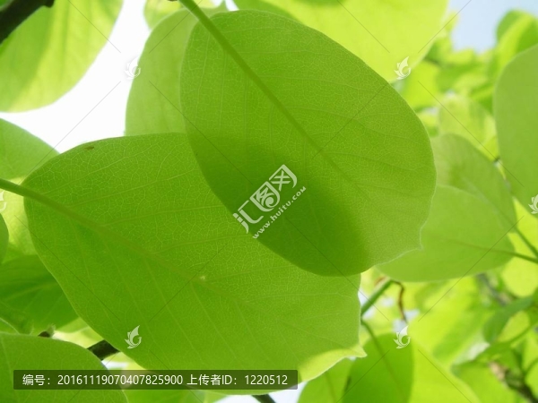 文章的美