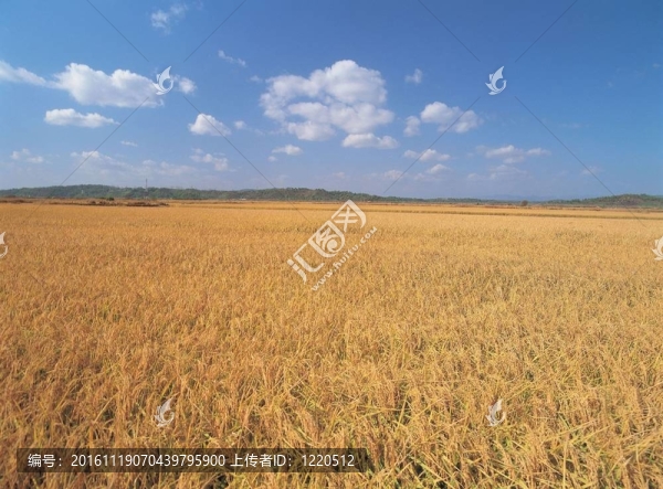場(chǎng)景