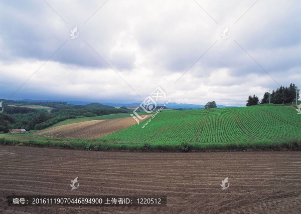 場景