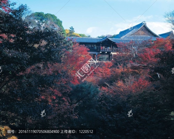去日本旅行