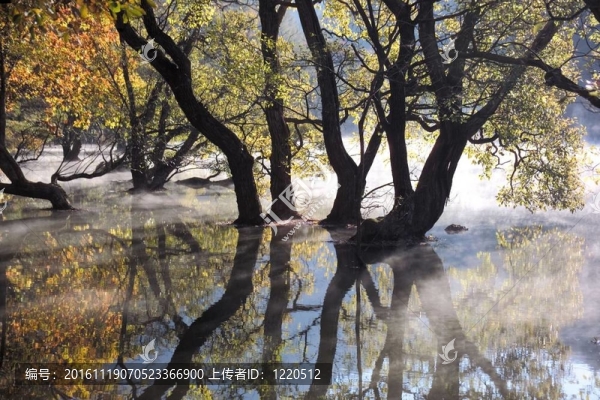 季節(jié)性的觀點