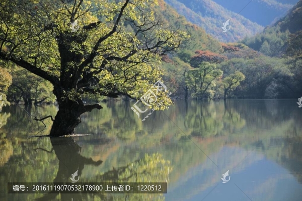 季節(jié)性的觀點(diǎn)
