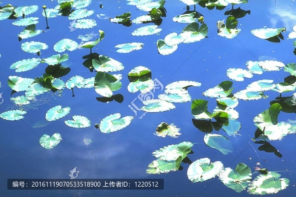 季節(jié)性的觀點