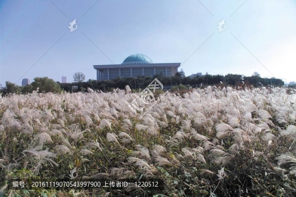 去漢城旅行-匯圖網(wǎng) www.fosd68.com 去漢城旅行