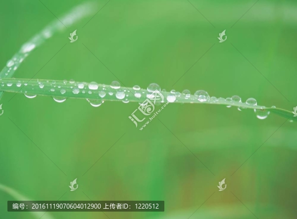 季節(jié)性的觀點