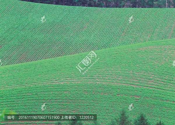場景