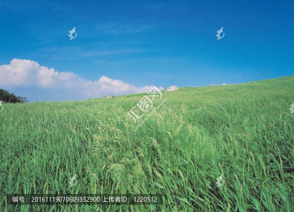 場(chǎng)景