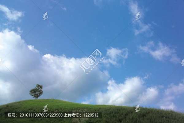 場(chǎng)景