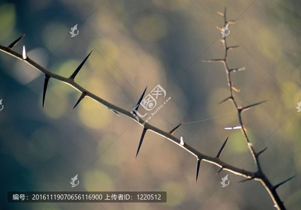 季節(jié)性的觀點(diǎn)